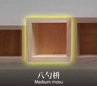 Medium masu